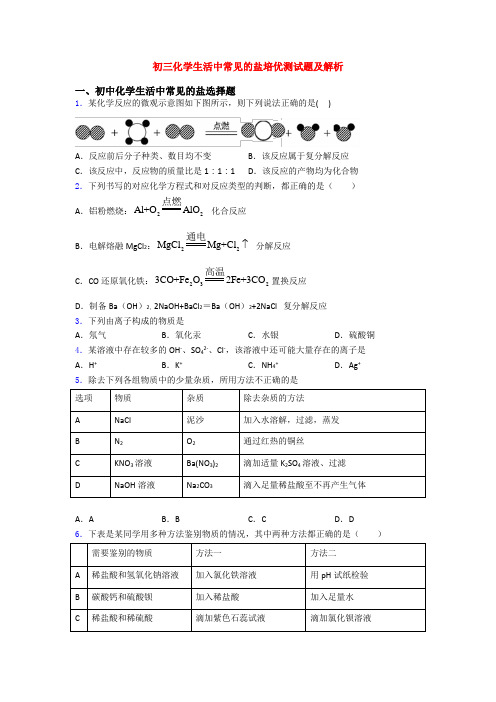 初三化学生活中常见的盐培优测试题及解析