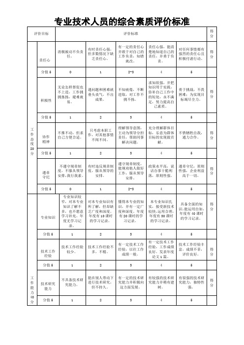 专业技术人员的综合素质评价标准