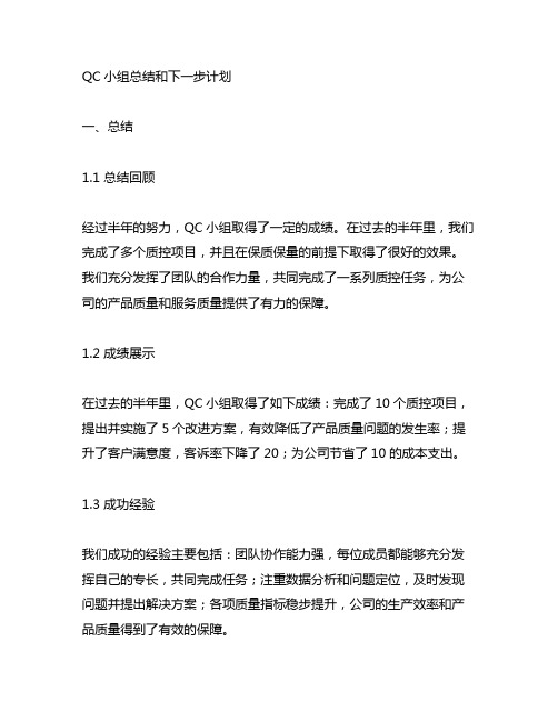 qc小组总结和下一步计划模板