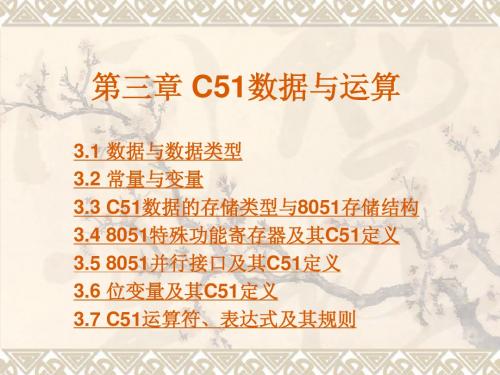 第三章 C51数据与运算