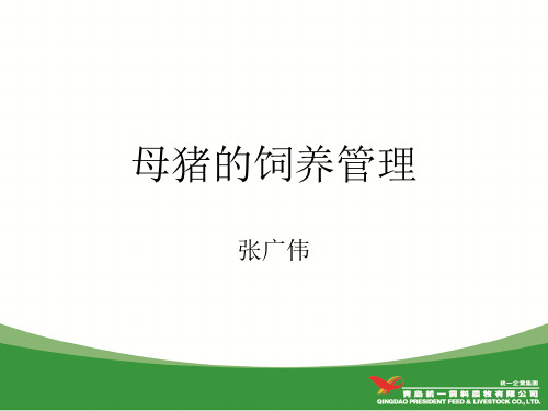 母猪的饲养管理.ppt