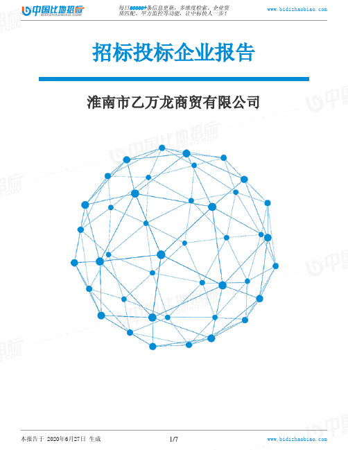 淮南市乙万龙商贸有限公司-招投标数据分析报告