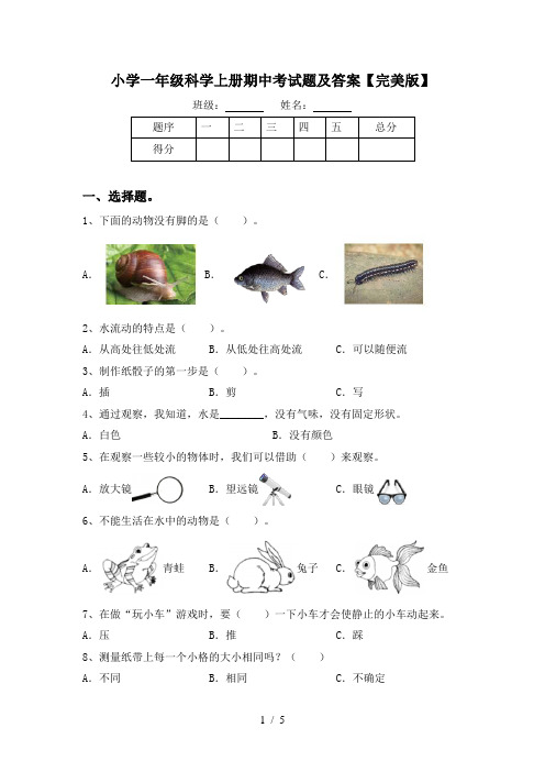 小学一年级科学上册期中考试题及答案【完美版】