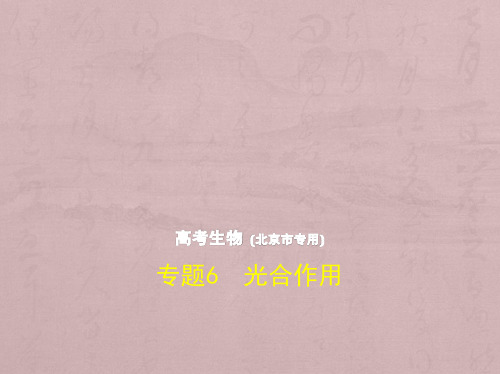 2019版高考生物(5年高考+3年模拟)精品课件北京专版：专题6 光合作用(共124张PPT)