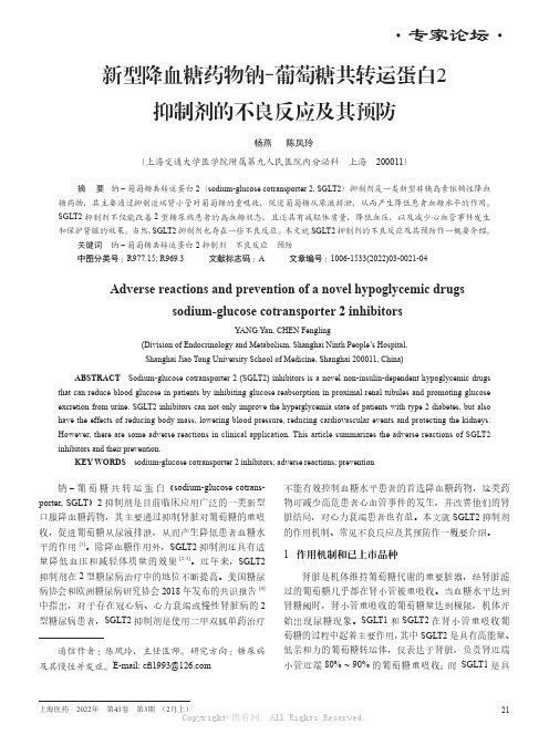 新型降血糖药物钠-葡萄糖共转运蛋白2抑制剂的不良反应及其预防