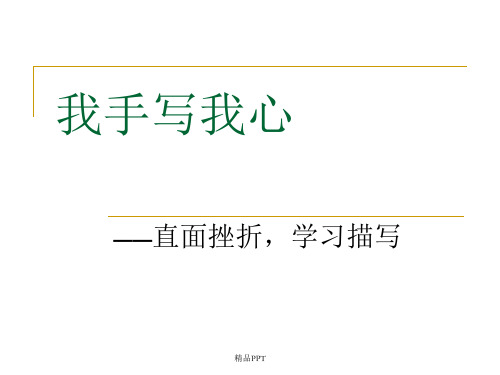 人教版高中语文必修2表达交流直面挫折 学习描写教案(1)