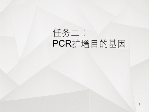 PCR扩增目的基因