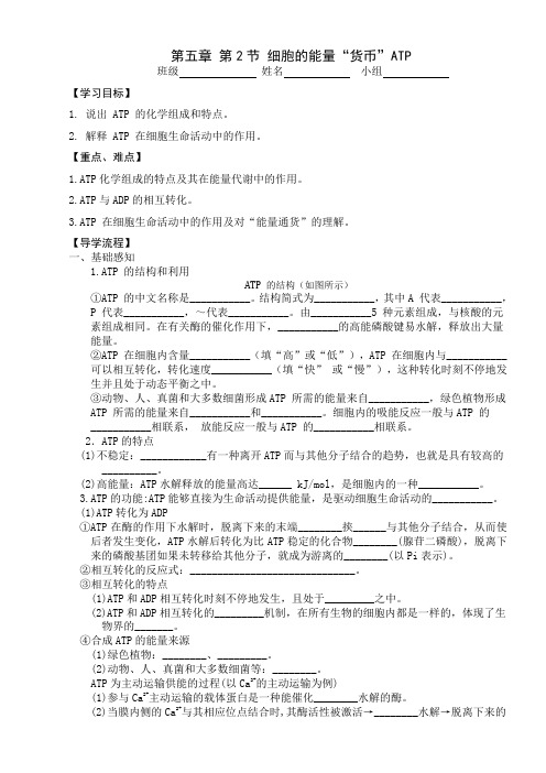 5.2细胞的能量“货币”ATP导学案高一上学期生物人教版必修1(1)