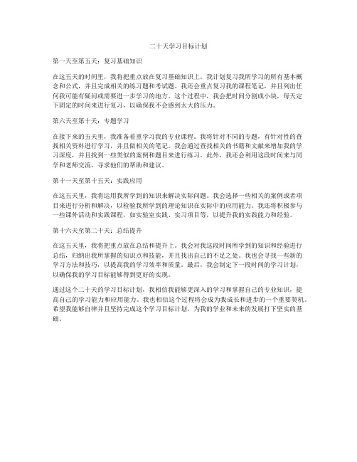 二十天学习目标计划