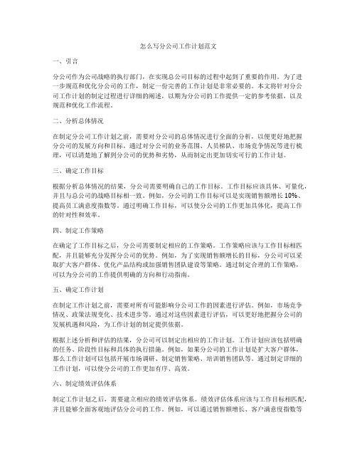 怎么写分公司工作计划范文