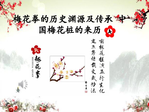 梅花拳的历史渊源及传承资料.