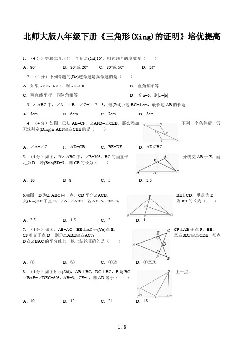 北师大版八年级下册《三角形的证明》培优提高