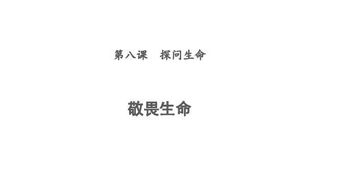 人教版道德与法治七年级上册 8.2 敬畏生命 课件共17张PPT