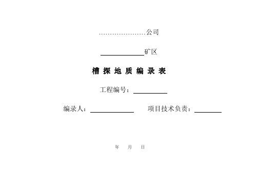 槽探编录式样