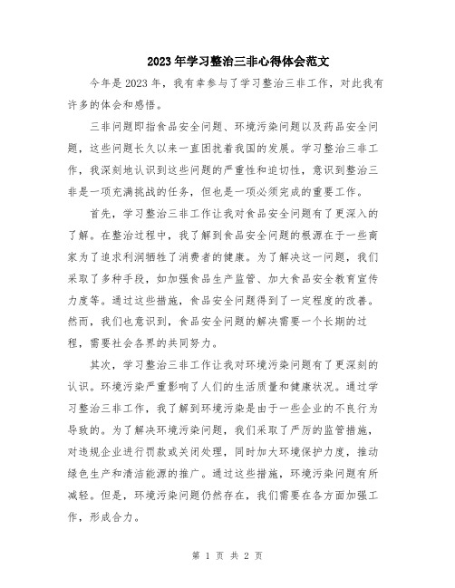 2023年学习整治三非心得体会范文