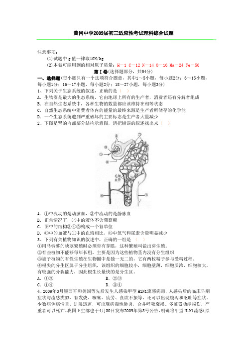 黄冈中学2009届初三适应性考试