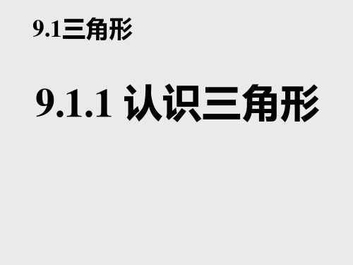 七年级数学认识三角形1(新201907)