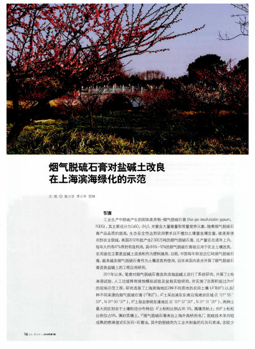 烟气脱硫石膏对盐碱土改良在上海滨海绿化的示范