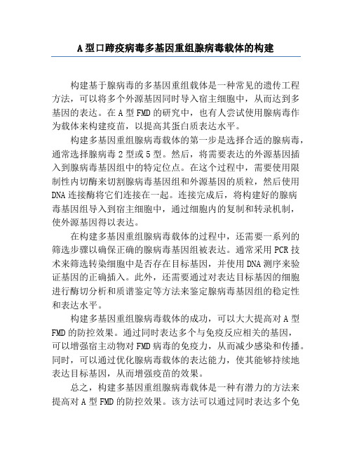 A型口蹄疫病毒多基因重组腺病毒载体的构建