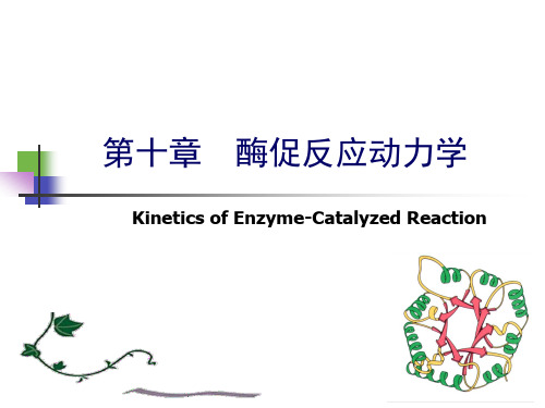 第10章_酶动力学