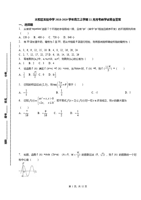 太和区实验中学2018-2019学年高三上学期11月月考数学试卷含答案