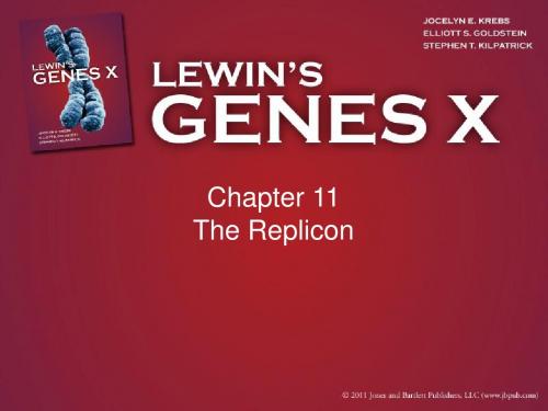 Gene X ppt(Gene10 基因十)--Chapter11