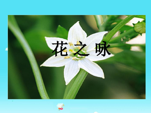 (北师大版)四年级语文下册课件花之咏1