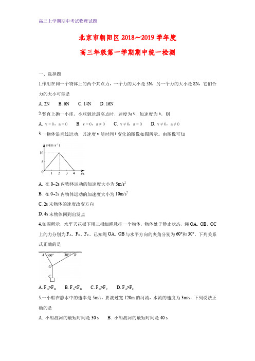 北京市朝阳区2019届高三上学期期中考试物理试题(答案+解析)