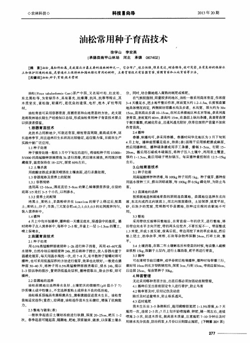 油松常用种子育苗技术