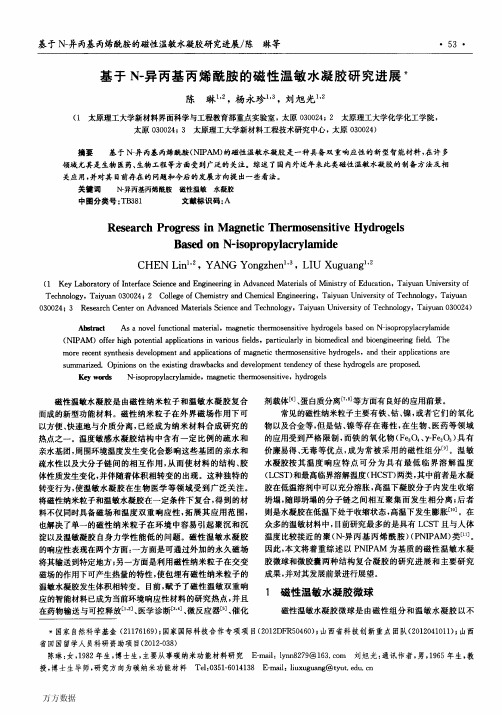 基于N异丙基丙烯酰胺的磁性温敏水凝胶研究进展