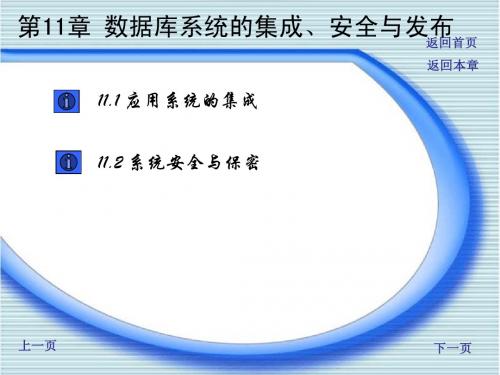 《Access 2002数据库应用实训教程》第11章：数据库系统的集成、安全与发布