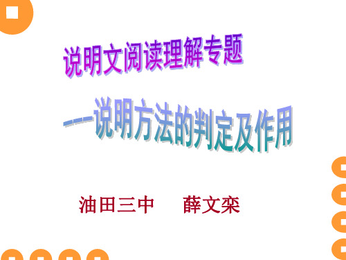 说明文阅读理解专题复习——说明方法及其作用