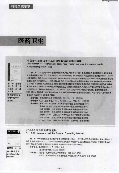 小鼠牙本质涎磷蛋白基因重组腺病毒载体的构建