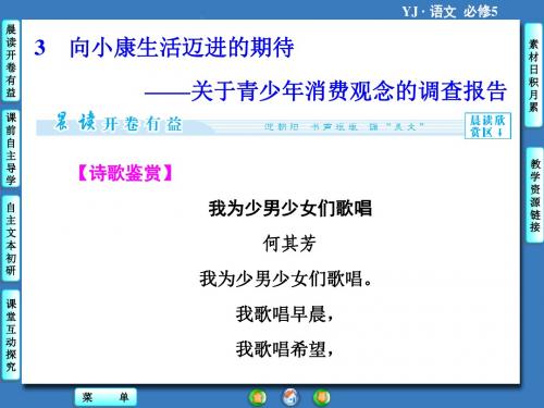 《向小康生活迈进的期待——关于青少年消费观念的调查报告》课件5-优质公开课-粤教版-必修5-精品PPT