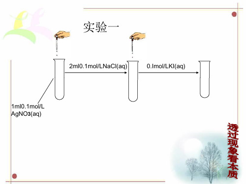 难溶电解质的沉淀溶解平衡