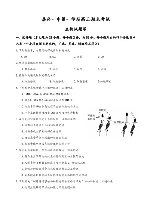 浙江省嘉兴一中高三上学期期末考试生物试卷(有答案)-精华版