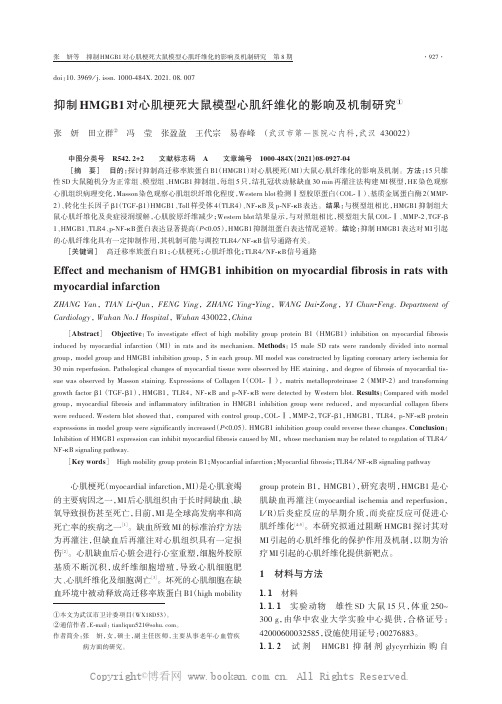 抑制HMGB1对心肌梗死大鼠模型心肌纤维化的影响及机制研究