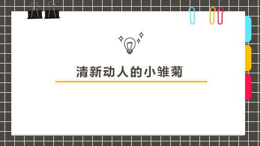 《小雏菊》幼儿园小学少儿美术教育绘画课件创意手工教程教案PPT模板