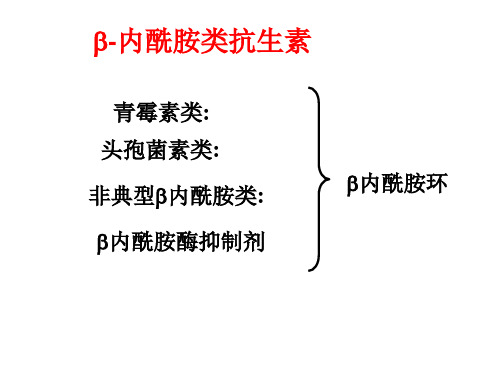 内酰胺类