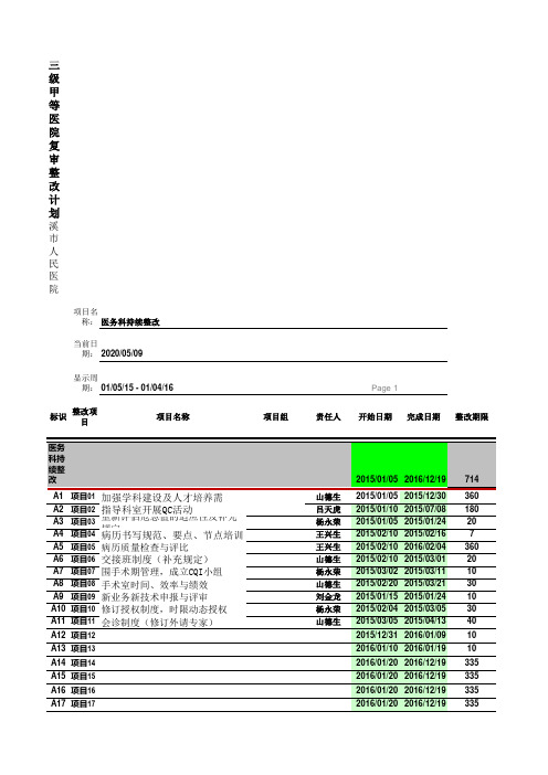 甘特图模板-医务部