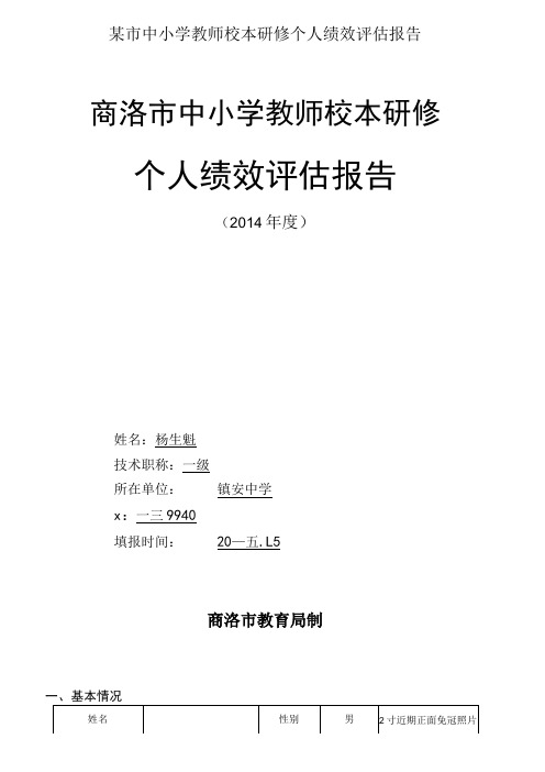 某市中小学教师校本研修个人绩效评估报告