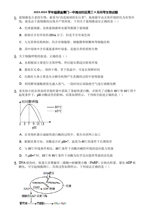 2023-2024学年福建省厦门一中海沧校区高三9月月考生物试题