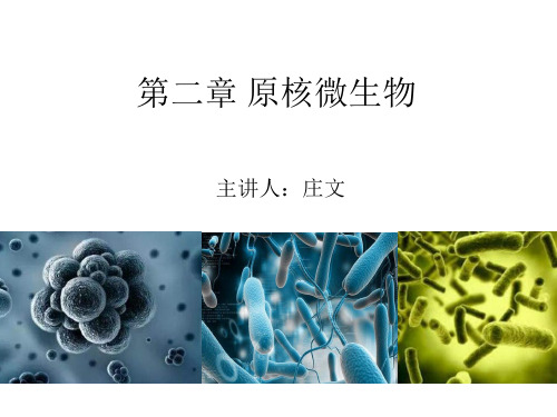 水处理生物学 第2章 原核微生物