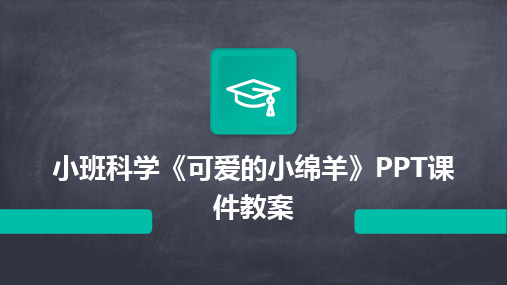 小班科学《可爱的小绵羊》PPT课件教案