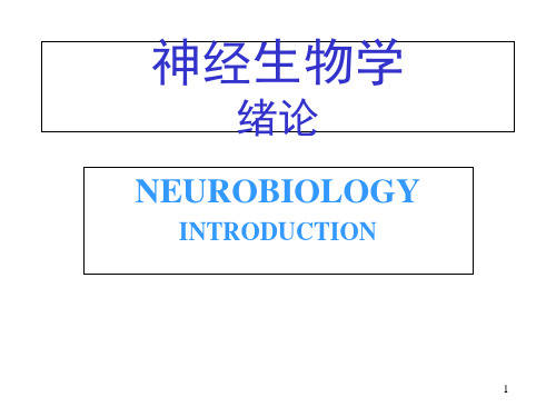 (医学研究生)神经系统生物.ppt