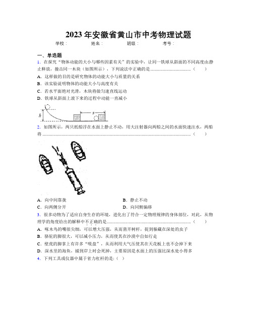 最新2023年安徽省黄山市中考物理试题及解析