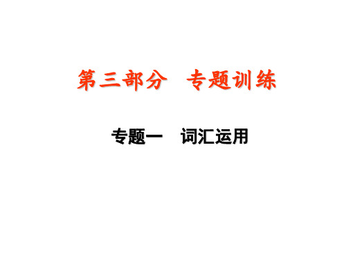 2019届深圳中考英语复习课件 专题一 词汇运用(共25张PPT)