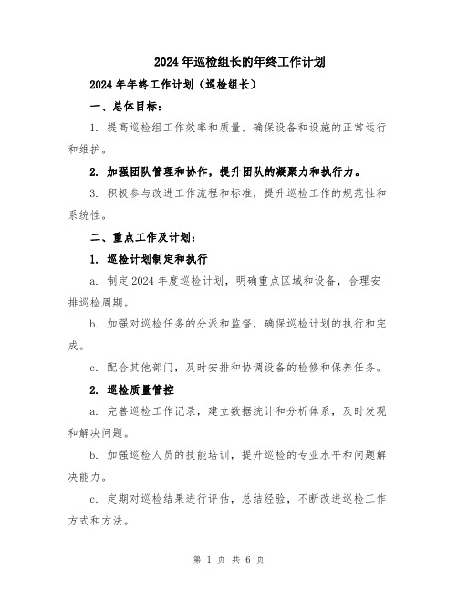 2024年巡检组长的年终工作计划