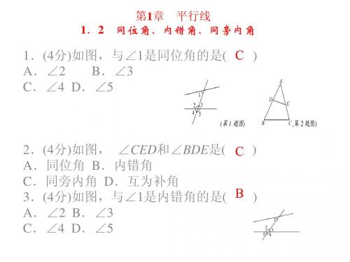 【四清导航】2015春七年级数学下册(浙教版,B本)同步习题精讲课件：第一章(共24张PPT)