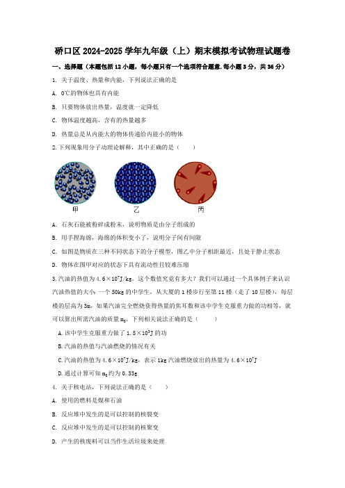 湖北省武汉市硚口区2024-2025学年九年级上学期期末模拟考试物理试题(含答案)